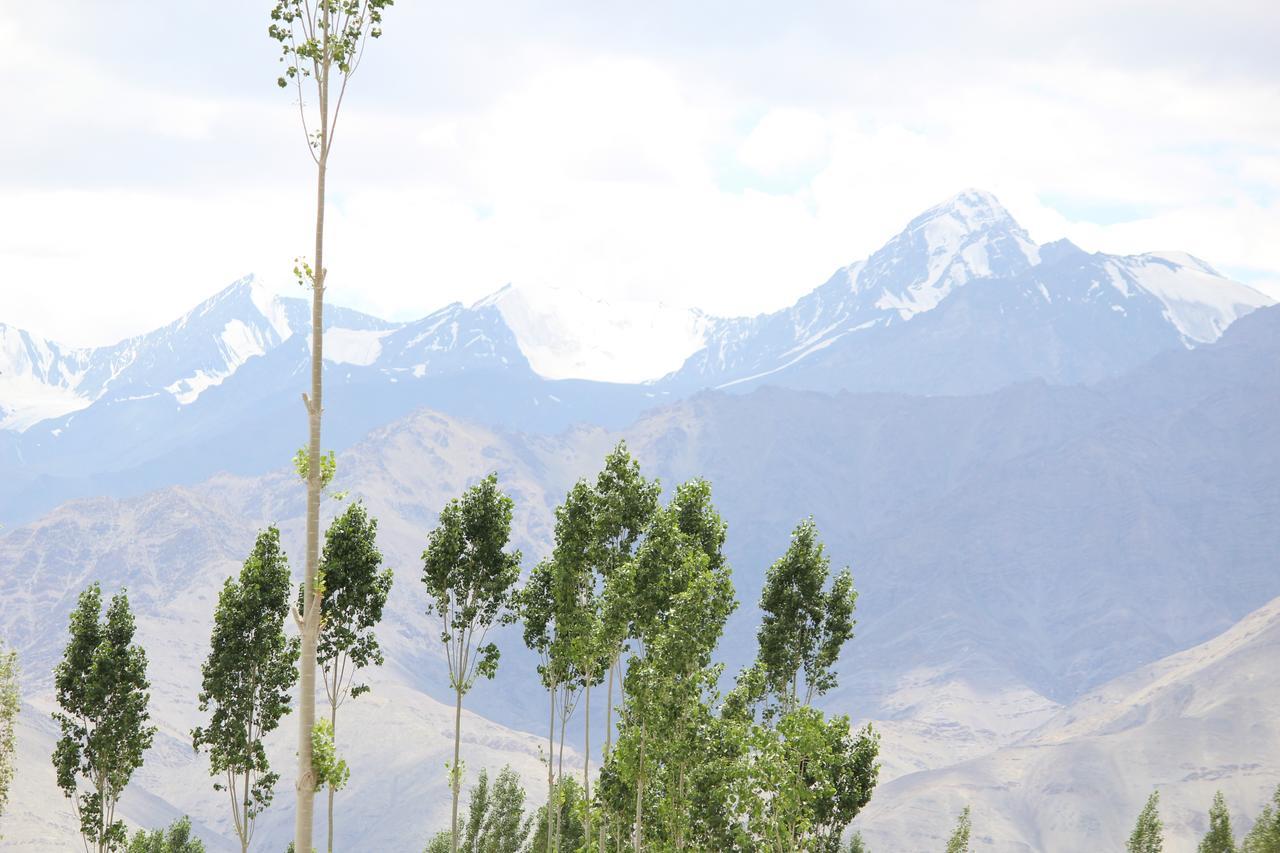 Hotel Kasdar Ladakh Leh Extérieur photo